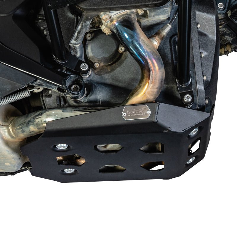SABOT MOTEUR RENFORCÉ LOBOO BMW R1300GS