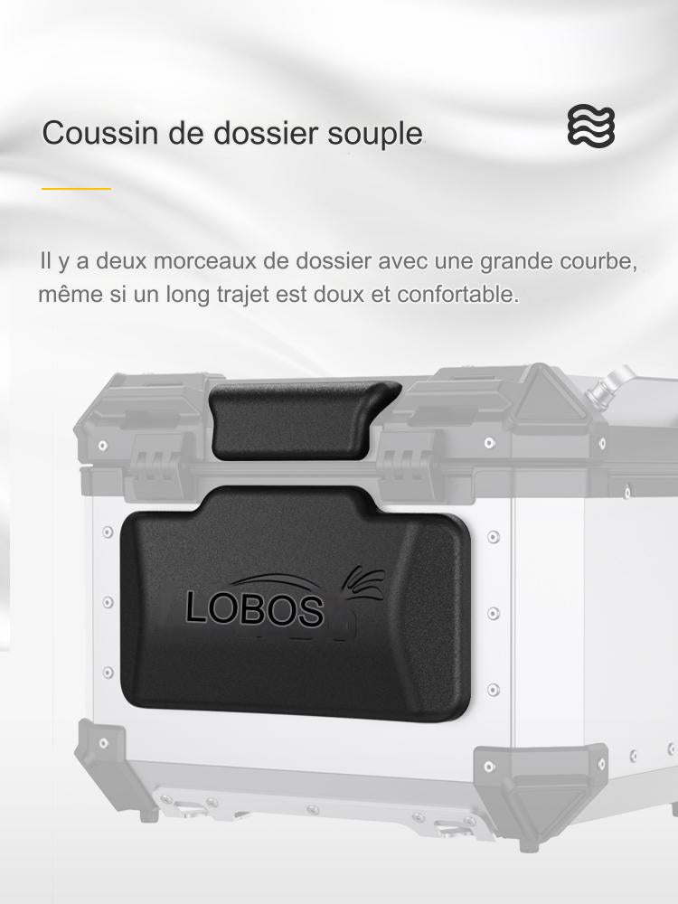 Valise aluminium Pike Tracker Loboo 45L+45L BMW R 1300 GS (2023- )