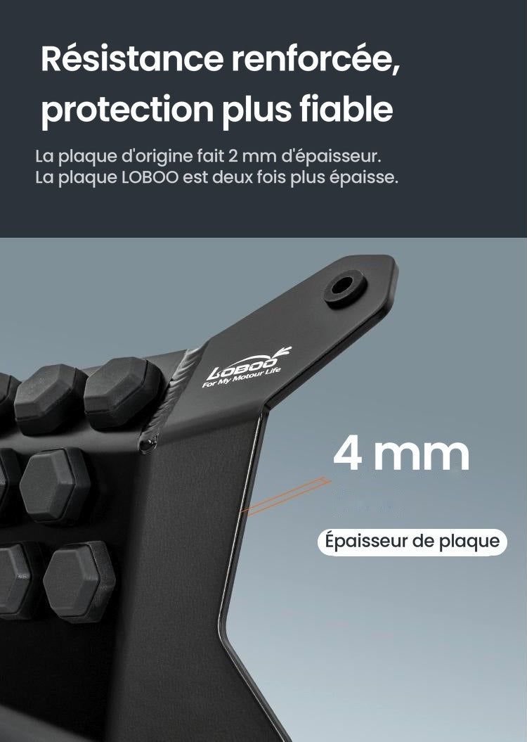PROTECTION DE CULASSE LOBOO BMW R1300GS (2023- )